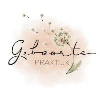 De Geboortepraktijk logo - Similar company to Mystaze