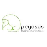 Pegasus Business Consultants logo - Similar company to Akson Fintech Advisory Services Private Limited