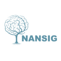 NANSIG logo - Similar company to Cambridge Centre For Innovation And Development