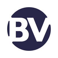 BV Consulting logo - Similar company to Bv Consulting, Llc