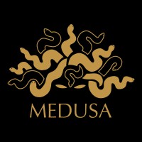 Dispuut Medusa logo - Similar company to Wij Zijn Web