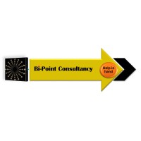 Bi-Point Consultancy logo - Similar company to Logistic-Natives E. V.