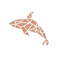 ORCA Fintech logo - Similar company to Pacifica Fintech Solutions Inc.