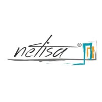 Netisa Mühendislik logo - Similar company to Rota Climate