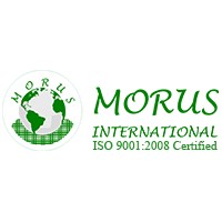 Morus International logo - Similar company to Ocsbox
