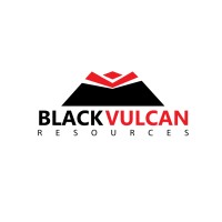 Black Vulcan Resources LLC logo - Similar company to Thuong Viet Financial Investment Development Jsc