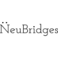 NeuBridges logo - Similar company to Voxel3D Tech