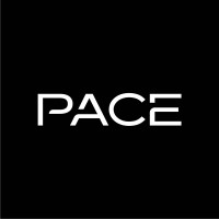 Professional Academy for Creative Enterprise logo - Similar company to Eyedea Studio Ltd