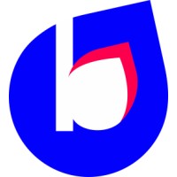 Bithrive Inc logo - Similar company to Blue Nile Software Systems