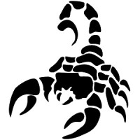 Scorpion Security LLC logo - Similar company to Scorpion Security