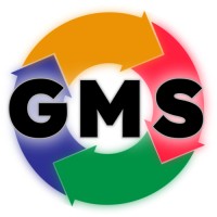 Graceful Management Systems logo - Similar company to Softteam