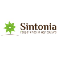 Network Sintonia logo - Similar company to Laurus S.R.L.
