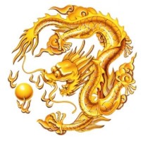 Dragon Executive Consulting Co., Ltd. logo - Similar company to Ak-Consulting
