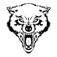 Wolf Pack Entertainment logo - Similar company to Acoustic Evolution