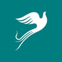 CASPIAN Airlines logo - Similar company to Sevintech Fanavaran Parvaz