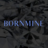 BORNMINE logo - Similar company to One Diamond Electronics Inc.