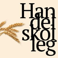 Handelskolleg logo - Similar company to Niro-S