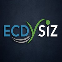 Ecdysiz logo - Similar company to Bieber-Systems Gmbh