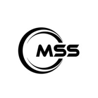 Machine Speciales Solutions logo - Similar company to Electrolisse