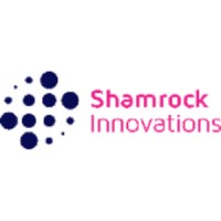 Shamrock Innovations logo - Similar company to Ridot Software Academy