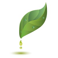 GREEN FRIX logo - Similar company to Igd Global Llc