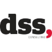 DSS Consulting AS logo - Similar company to Håland Instrumentering As