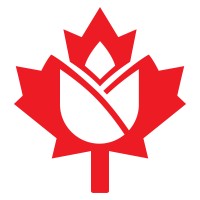 Netherlands-Canada Chamber of Commerce logo - Similar company to Canada-Portugal Chamber Of Commerce/Câmara De Comércio Portugal-Canadá
