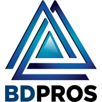 BDPros logo - Similar company to The Connective