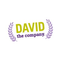 David the Company logo - Similar company to Accountable It Group Pty Ltd