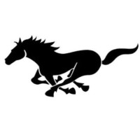 Black Horse logo - Similar company to Techo Digital