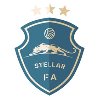 Stellar Football Academy logo - Similar company to Ara Fc