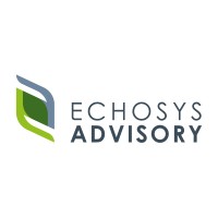 Echosys Advisory logo - Similar company to Fournel Advisory