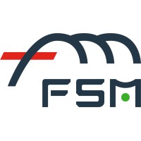 FSM Automation logo - Similar company to Fsm