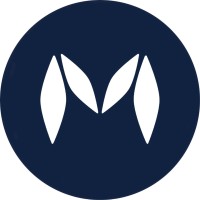 Mapki Solutions logo - Similar company to Wallenc Technology