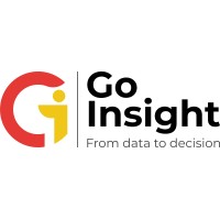 GoInsight logo - Similar company to Goinsite