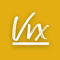 Virtuvix Business Consultancy logo - Similar company to Multiply Today