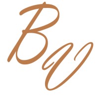 BitVision logo - Similar company to Mtm Productivity Services Corporation (Usa & Canada)