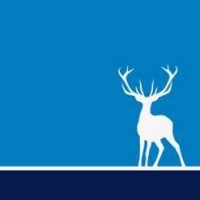 Bluestag Leadership Ltd