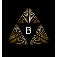 BlackRiver Capital logo - Similar company to Black River Management Ltd.