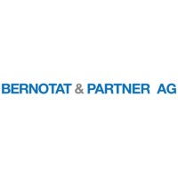 Bernotat & Partner AG logo - Similar company to Sr Management Gmbh