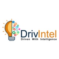 DrivIntel Learning Solutions logo - Similar company to Techbelearn
