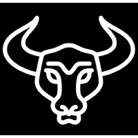 Brazen Bull Creative Marketing
