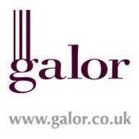 Galor personal chef services logo - Similar company to Tailored Staff