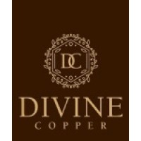 Divine Copper logo - Similar company to Kash Cloud Kpo Services Pvt. Ltd.