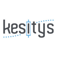 Kesitys logo - Similar company to Nevrone