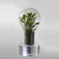 Sustainability Award logo - Similar company to Planetwise Partners Og