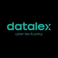 Datalex Latam logo - Similar company to Acoinfo
