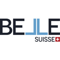 New Time Suisse Sa logo - Similar company to New Time