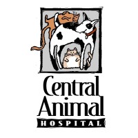 Central Animal Hospital - St. Petersburg, FL logo - Similar company to Ellie Mental Health - St. Petersburg, Fl