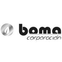 BOMA Corporación logo - Similar company to Clb - Human Resources